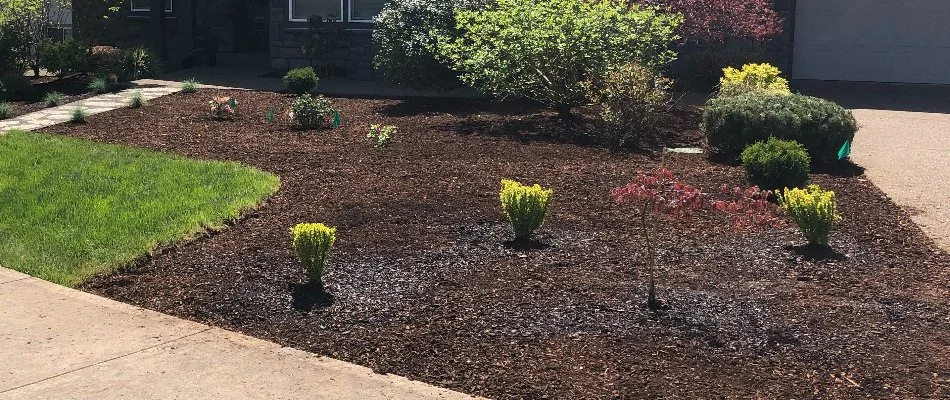 Mulch on a landscape in Gresham, OR, with shrubs and plants.