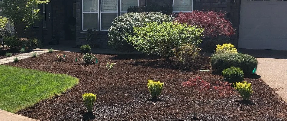 Mulched landscape bed in Gresham, OR, with plants.