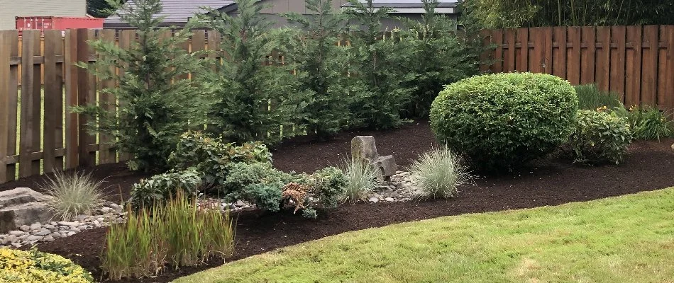 Mulch, shrubs, and plants on a neat landscape in Portland, OR.