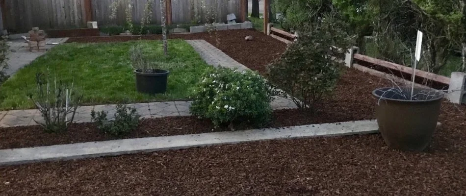 Neat yard in Portland, OR, with grass, mulched landscape, and plants.