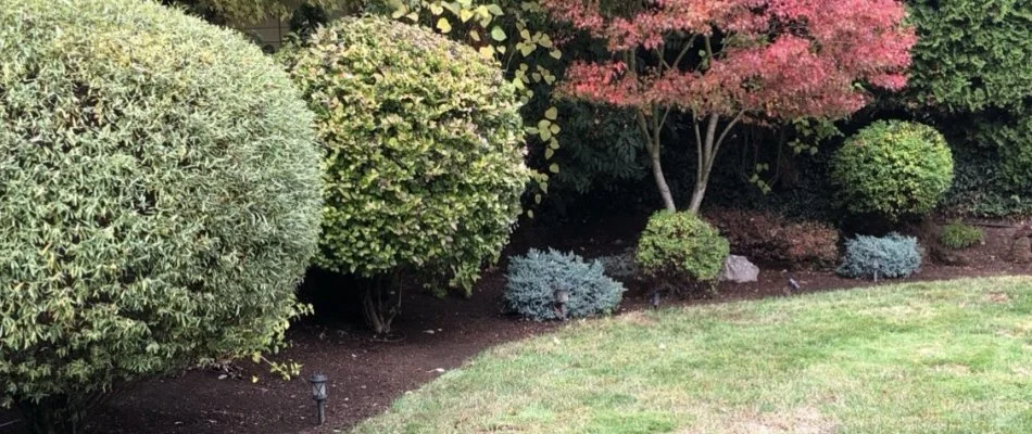 Landscaping in residential backyard located in Gresham, OR.