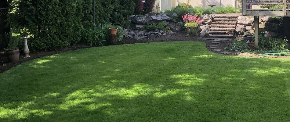 Plants and outdoor steps next to a dense green lawn in Gresham, OR.