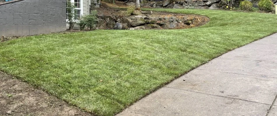 Sloped yard with sod in Gresham, OR.