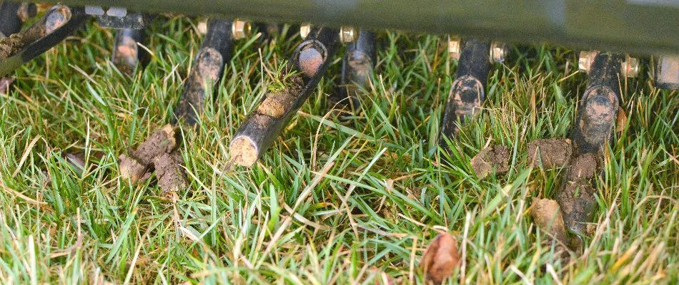 Tines of an aerator with grass and soil cores in Gresham, OR.