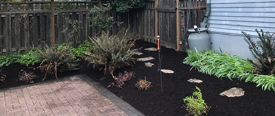 Project Case Study: Neglected Residential Lawn Cleanup