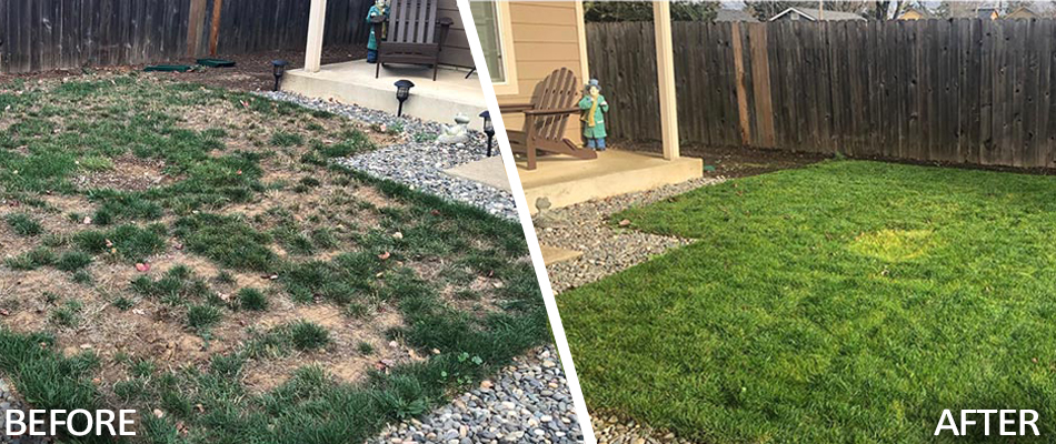 Home in Happy Valley, OR before and after core aeration and over seeding services.