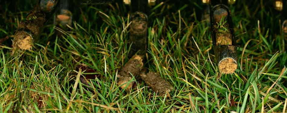 Home in Happy Valley, OR with cores in the lawn from our aeration service.
