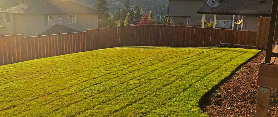 Recently mowed lawn in Gresham, OR.