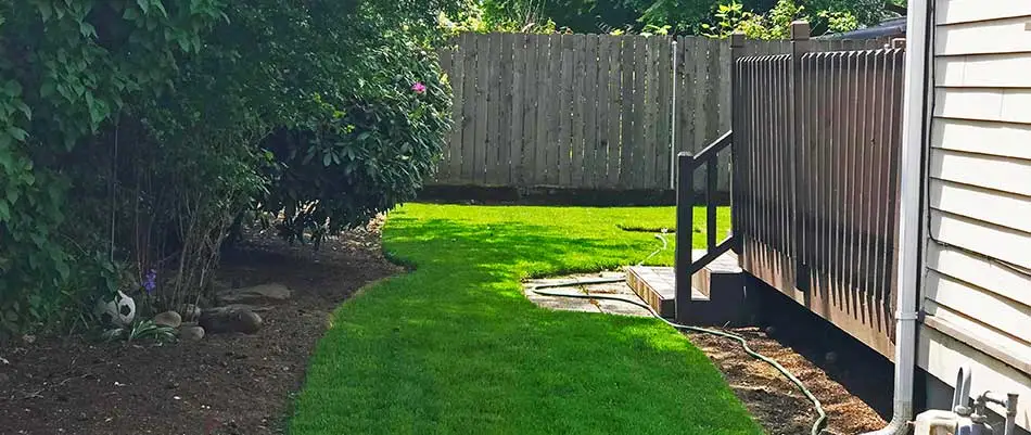 This yard in Happy Valley, OR has regularly scheduled lawn care services.