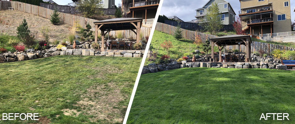 Before and after photo of a property in Gresham that we aerated and over-seeded.