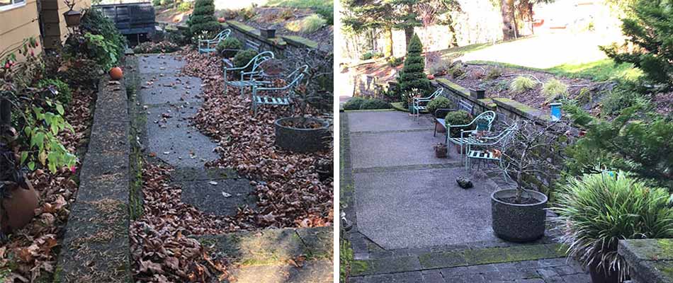 Before and after photo of a fall cleanup at a Lake Oswego, OR residence.