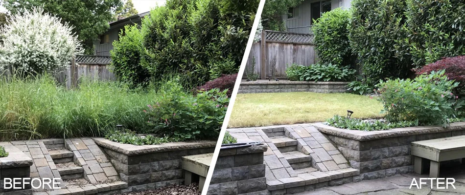 Overgrown yard in Beaverton, OR before and after the cleanup.