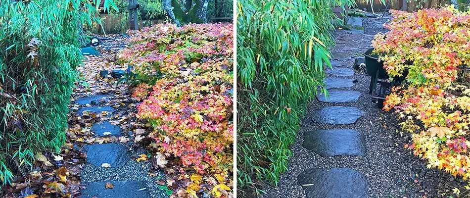 Before and after photos of a fall yard cleanup in Fairview, OR.