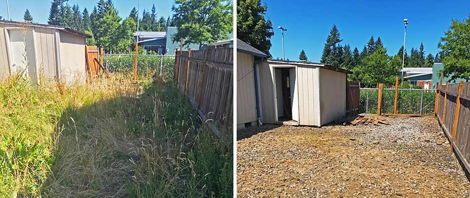 Before and after photos of and overgrown yard with cleanup services in Troutdale, OR.