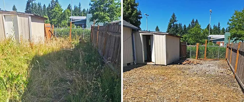 Before and after photos of and overgrown yard with cleanup services in Beaverton, OR.