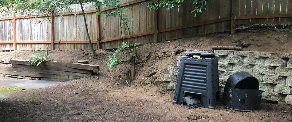 Blackberry cleared from a fence in Gresham, OR.