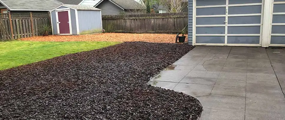 4 Rock & Mulch Ground Covers for Your 2020 Portland Landscape