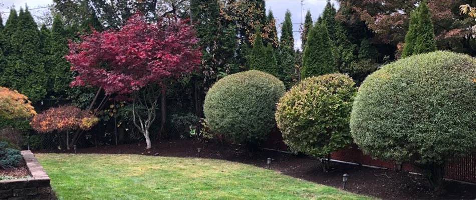 Home with beautifully trimmed shrubs and hedges in Gresham, OR.