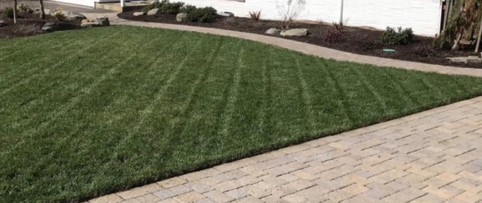 Push mowing a backyard in Troutdale, OR residence.