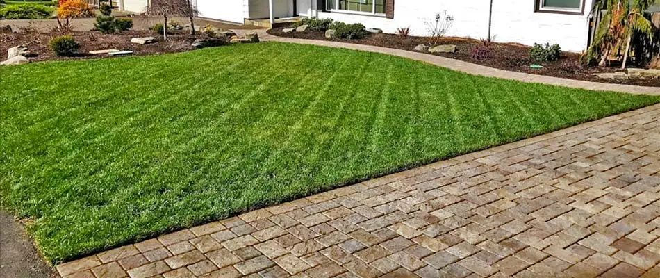 A healthy lawn in Happy Valley, OR after a fertilization treatment.