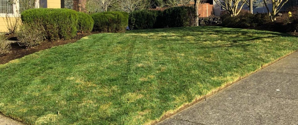 Home in Happy Valley, OR with a freshly mowed front yard.