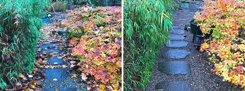 Fall leaf cleanup from a path at a Gresham, OR home.