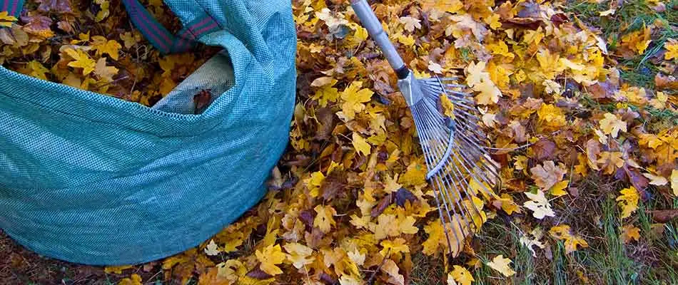Removing leaves from a yard in Milwaukie, OR.