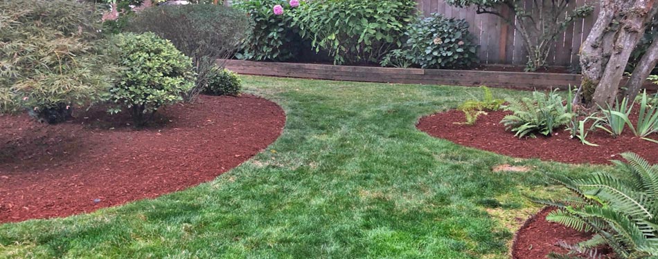 Landscape beds and lawn in Happy Valley, OR after spring yard cleanup services.