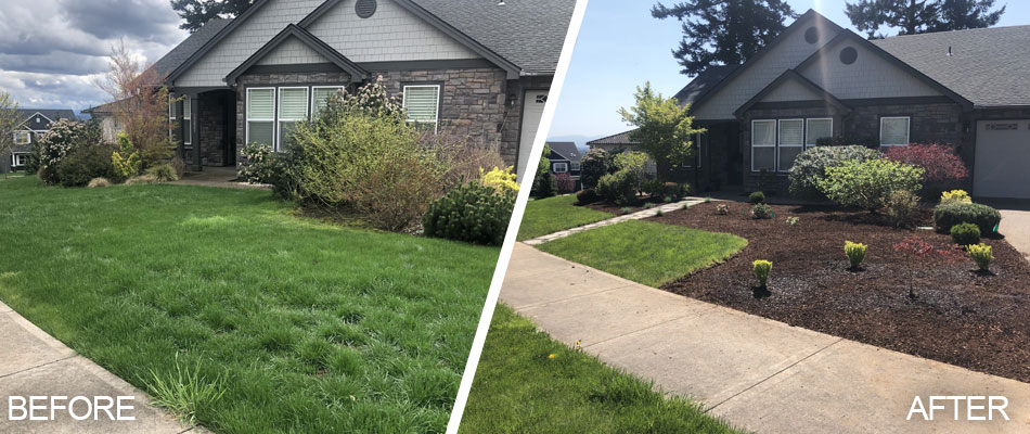 Yard cleanup and landscape renovation in Wood Village, OR.