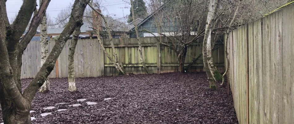 Backyard cleaned up after storm in Portland, OR.