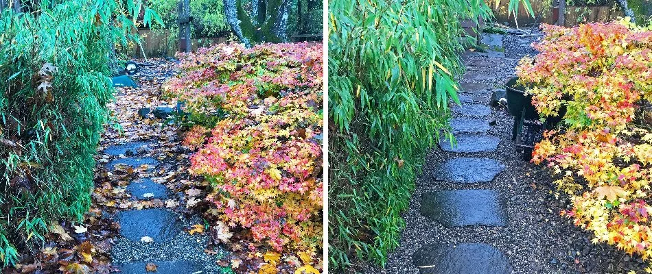 Before and after of backyard leaf removal in Garden Home-Whitford, OR.
