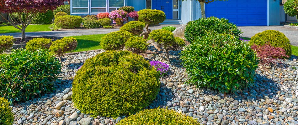 Shrubs in landscape bed protected by rock ground covering in Gladstone, OR.