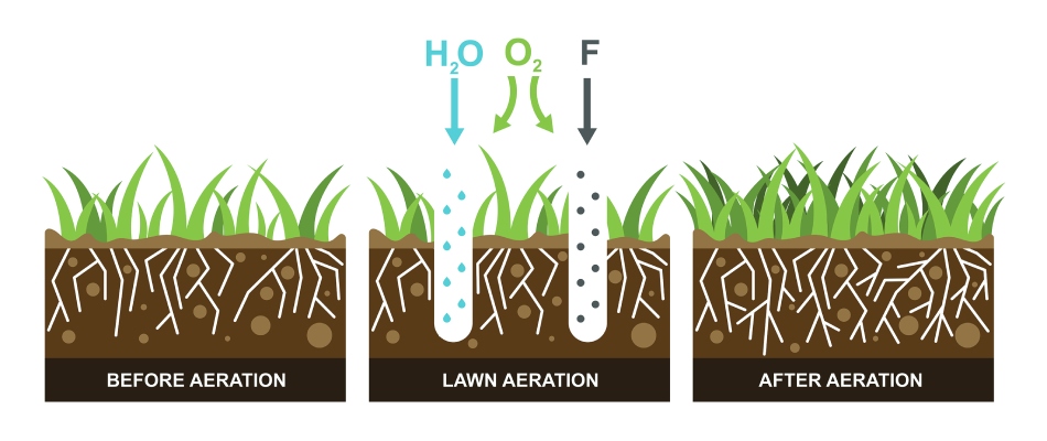 Aeration process graphic chart in Damascus, OR.