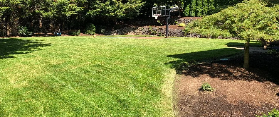 Green, lush lawn on a property in Gresham, OR.