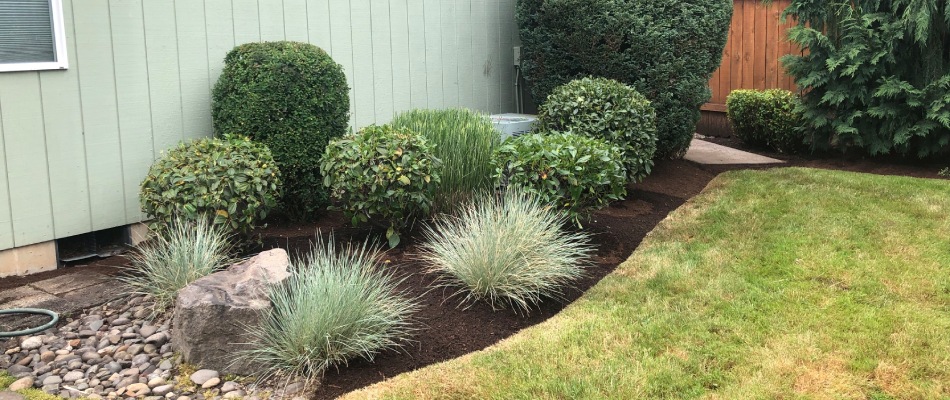 Landscape bed efficiently installed by J&C crew members in Happy Valley, OR.
