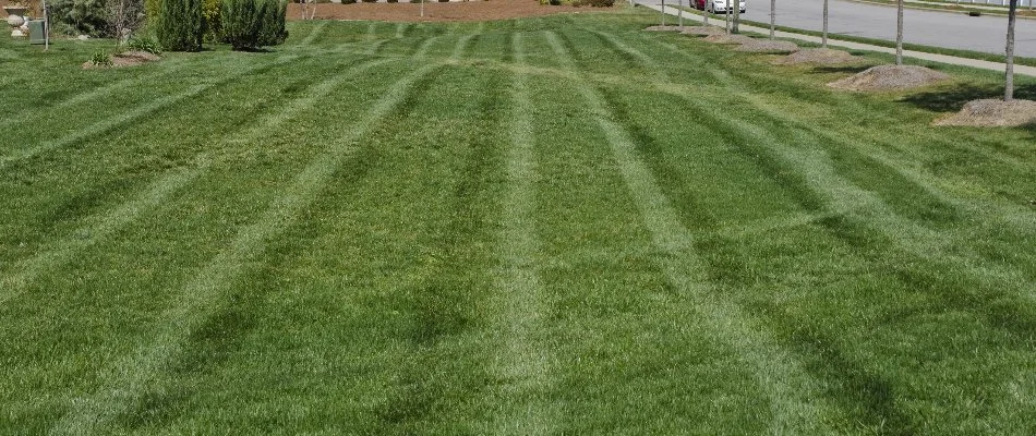 Large commercial lawn in Gresham, OR, with striping.