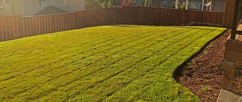 Lawn in Redland, OR, after mowing.