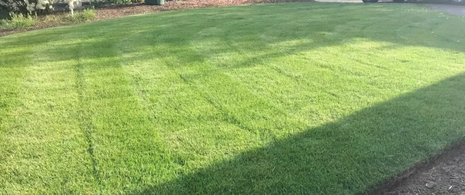 Healthy, manicured lawn on a property in Gresham, OR.