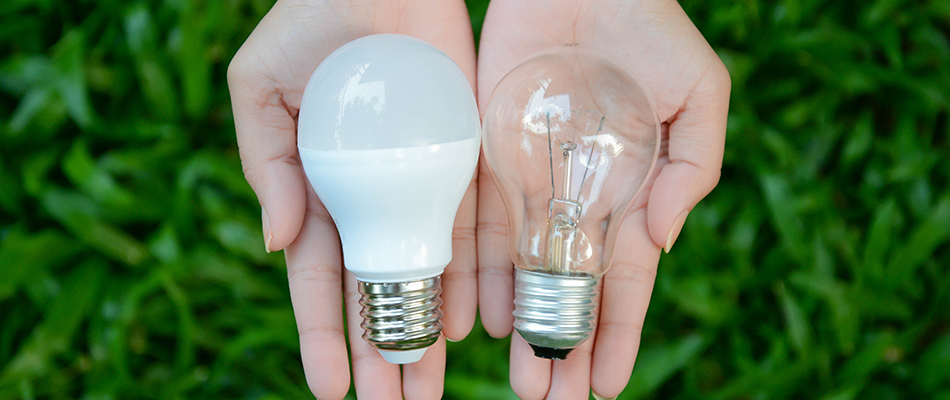 LED light bulb being held in professionals hand for comparison in Happy Valley, OR.