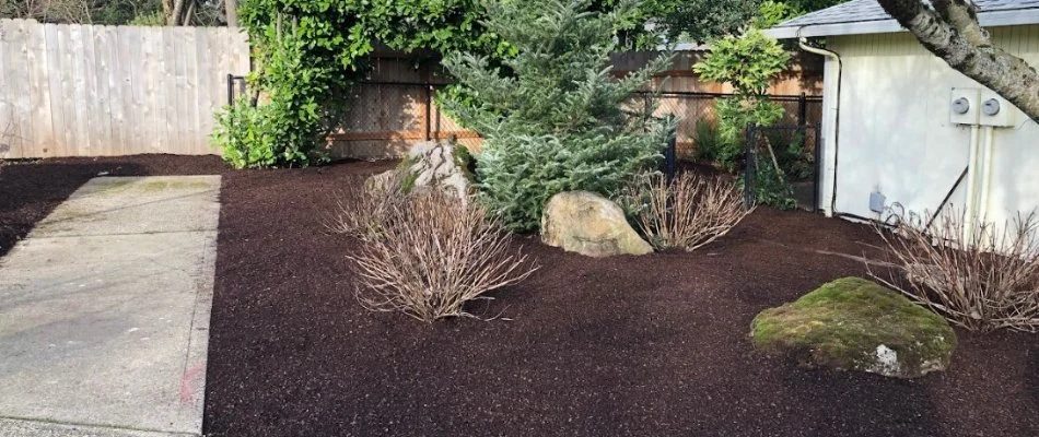 Landscape bed after a fall yard cleanup in Gresham, OR.