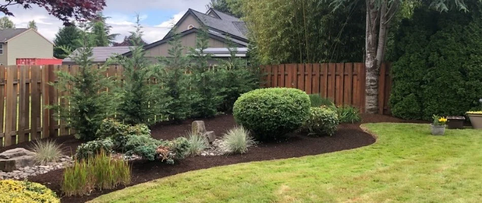 Well maintained yard after a spring cleanup in Portland, OR.