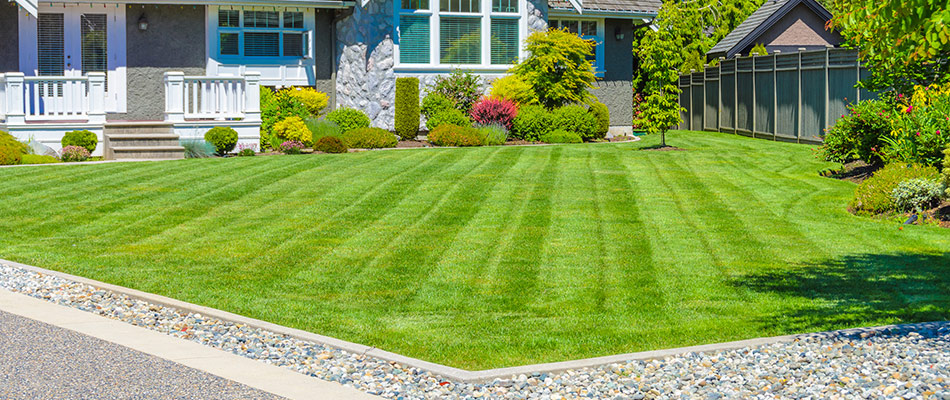 Mowing patterns in a lawn in Oregon City, OR.