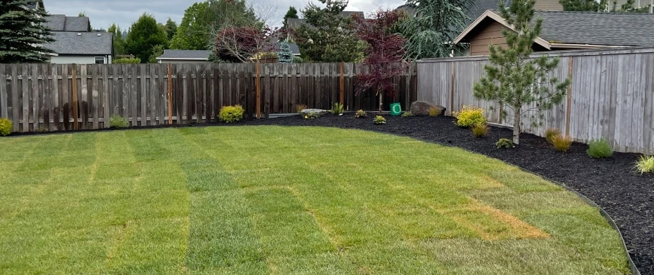 New sod installed for backyard in Gladstone, OR.