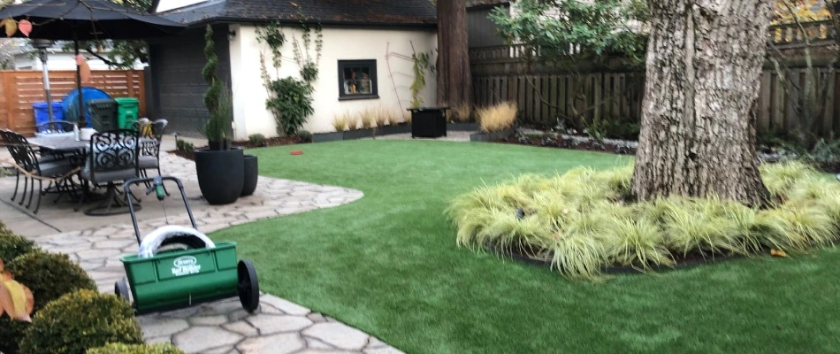 Plantings around tree and new turf in Gresham, OR.