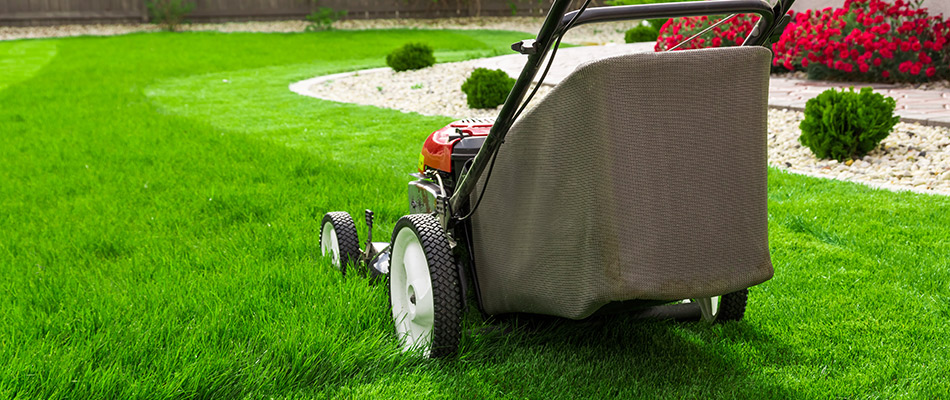Push mower going through a yard with tall grass in Orient, OR.