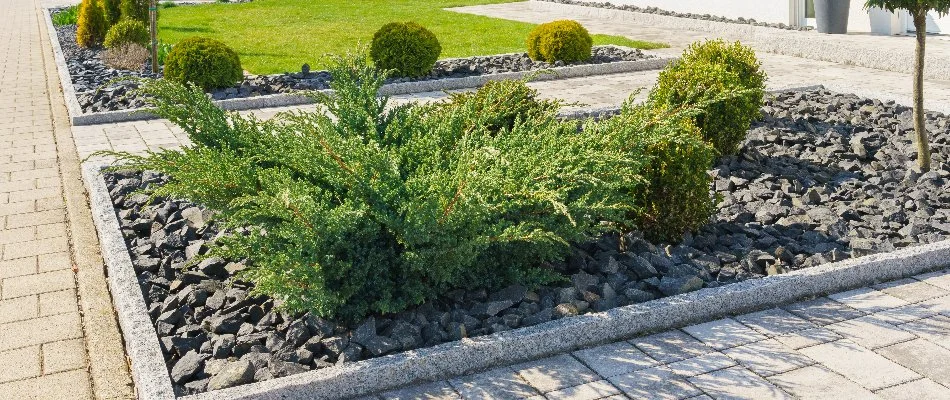 Rocks in a landscape bed in Gresham, OR.