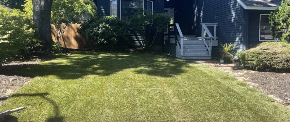Sod installed on a property in Gresham, OR.
