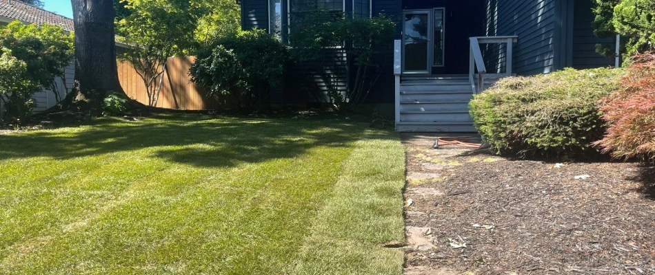 Sod rolled out onto lawn in Portland, OR.