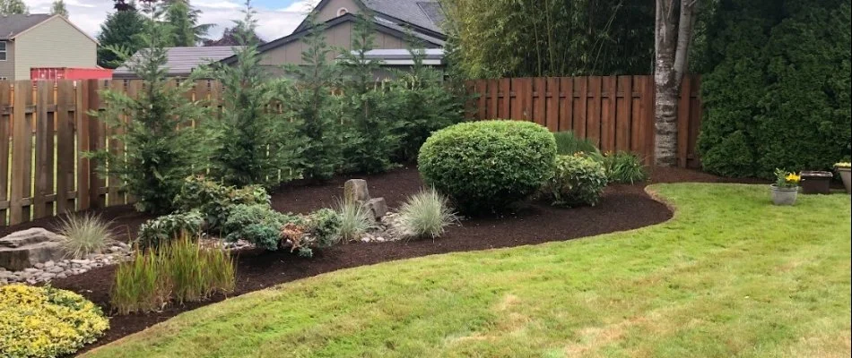 Trimmed plants in a landscape bed on a property in Gresham, OR.