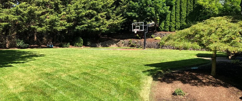 Well-maintained lawn in Oatfield, OR.